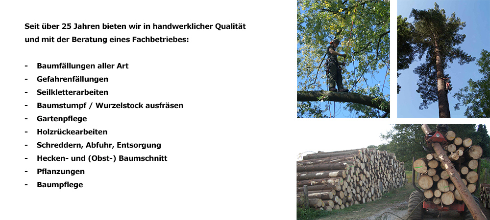 Seit über 25 Jahren bieten wir in handwerklicher Qualität und mit der Beratung eines Fachbetriebes:

    Baumfällungen aller Art
    Gefahrenfällungen
    Seilkletterarbeiten
    Baumstumpf / Wurzelstock ausfräsen
    Gartenpflege
    Holzrückearbeiten
    Schreddern, Abfuhr, Entsorgung
    Hecken- und (Obst-) Baumschnitt
    Pflanzungen
    Baumpflege
